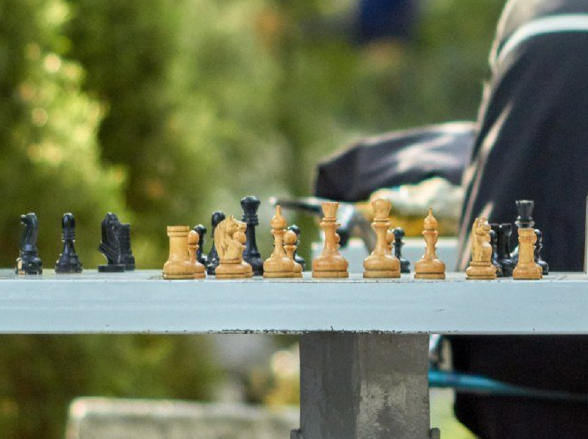 шахматы Днепр