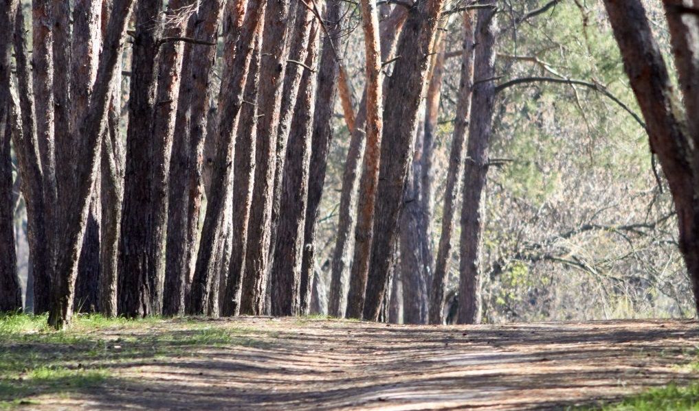 фотосессия Днепр