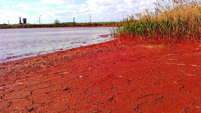 отдых Днепр