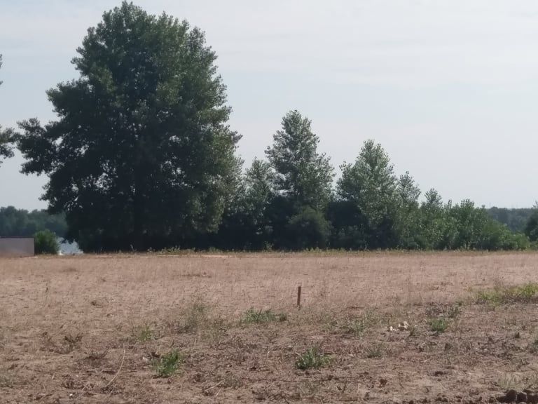 нудистский пляж