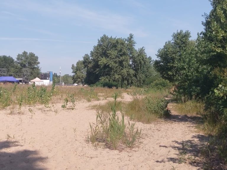 нудистский пляж