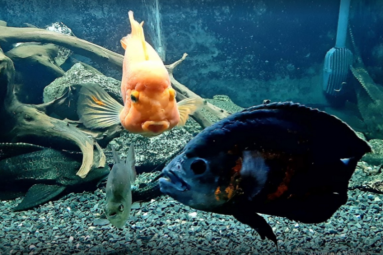 дети каникулы