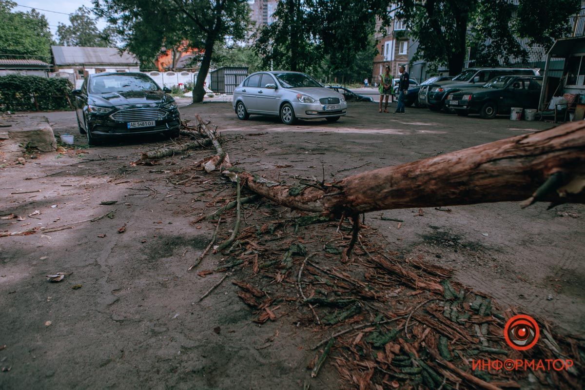 Непогода. Новости Днепра