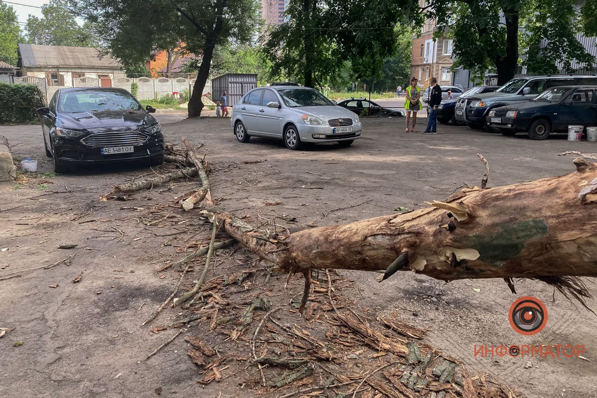 Непогода. Новости Днепра