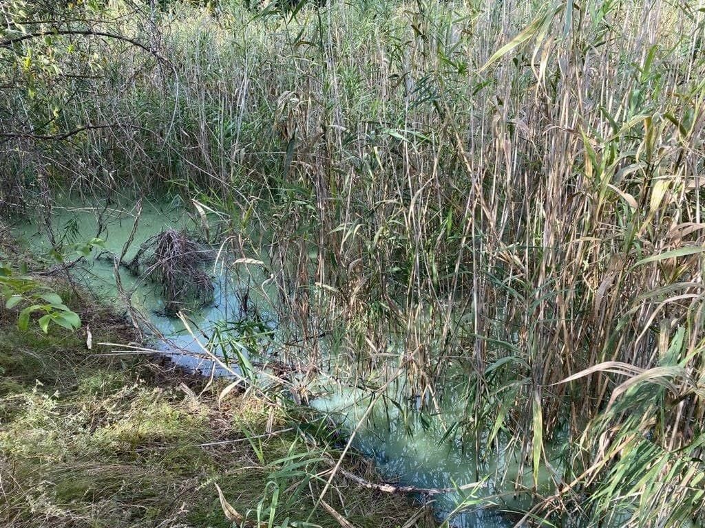 Экологическая катастрофа. Новости Днепра