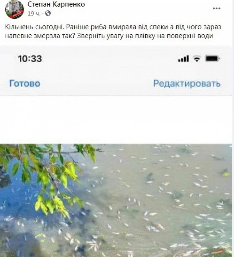 Массовый мор. Новости Днепра