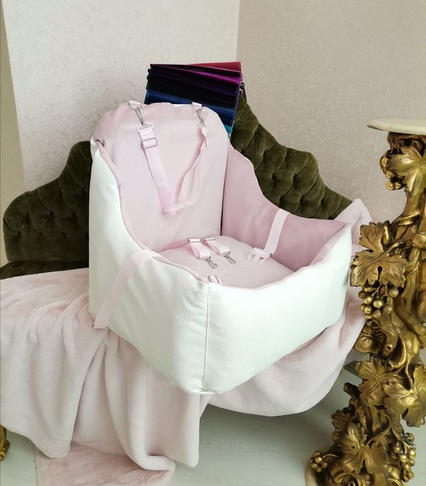 домашние животные