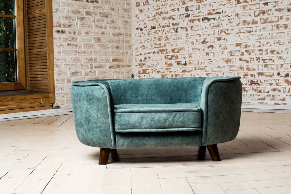 домашние животные