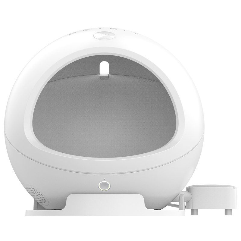 домашние животные