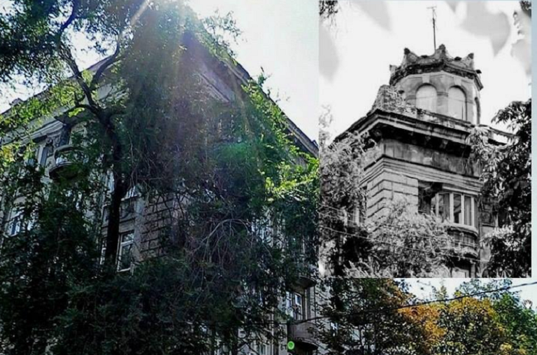 беседка Днепр