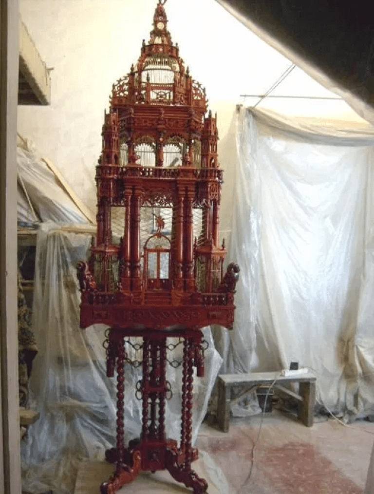 домашние животные