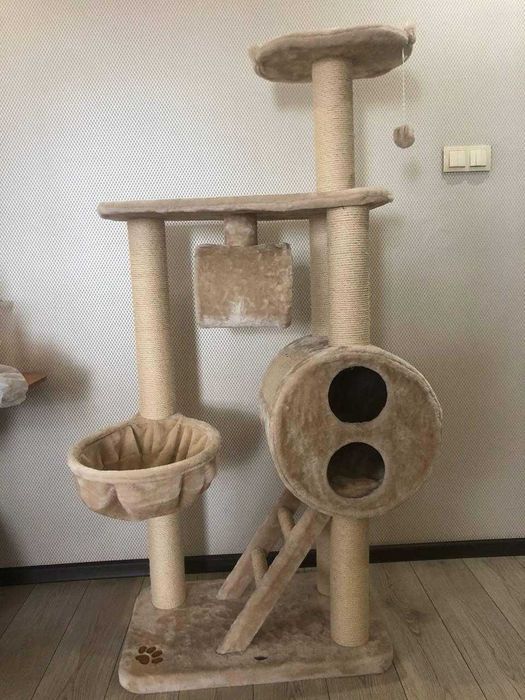 домашние животные