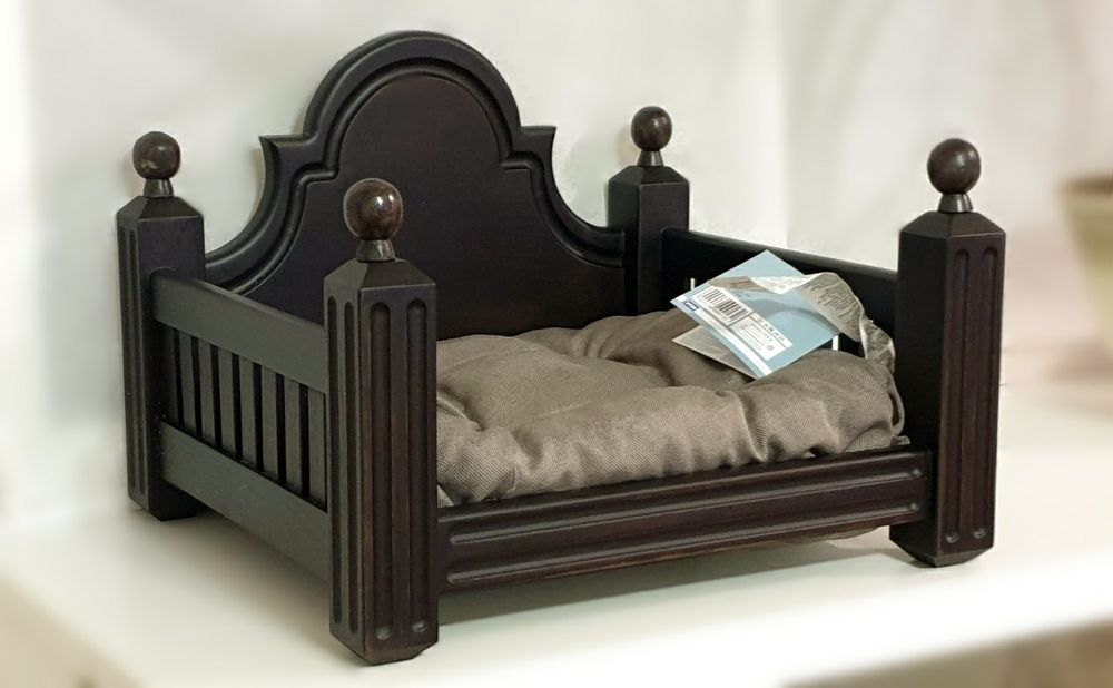 домашние животные