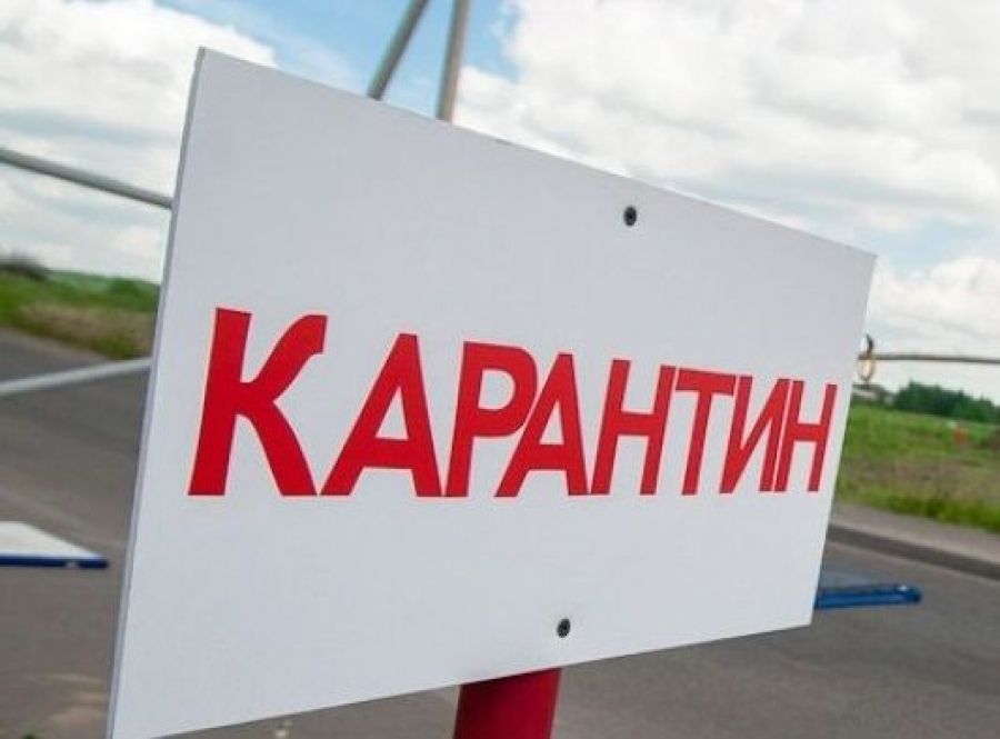 В Днепре. Новости Днепра