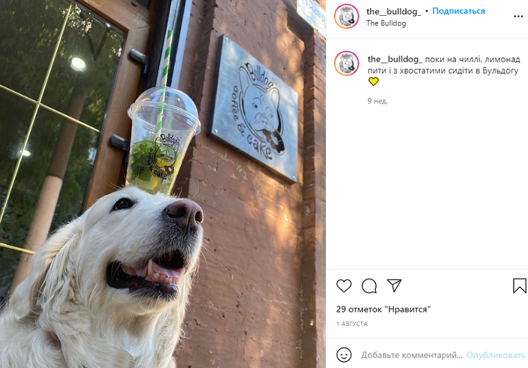 ресторан животные