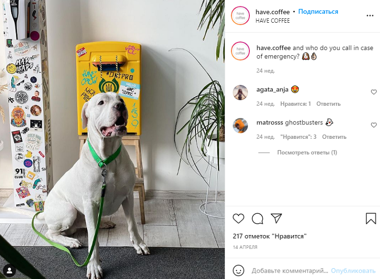 ресторан животные