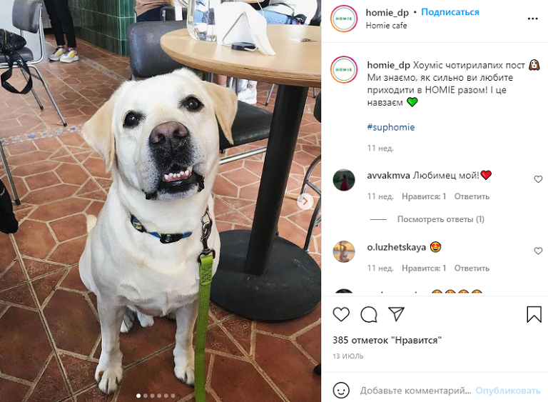 ресторан животные