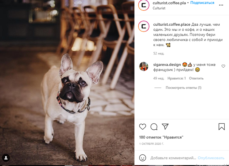 ресторан животные