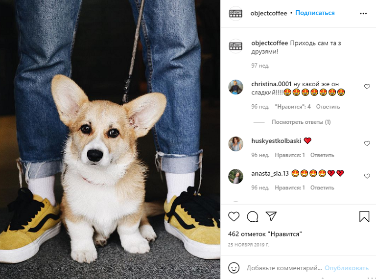 ресторан животные