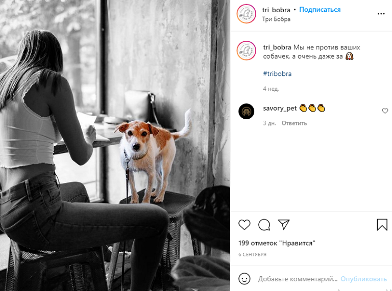 ресторан животные