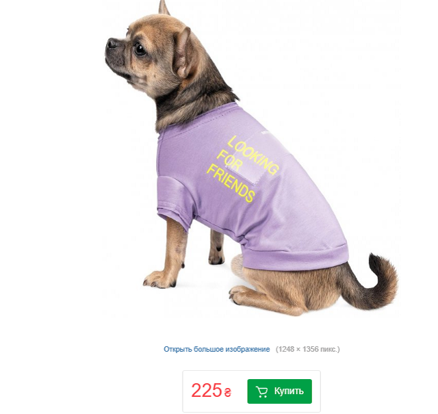 одежда кот собака