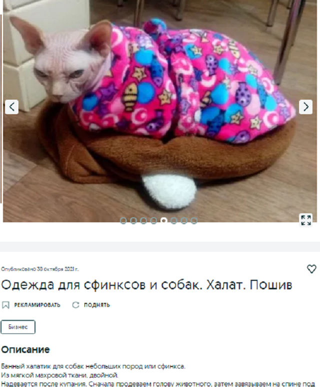 одежда кот собака