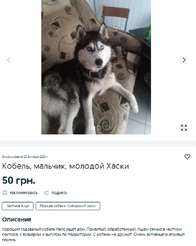 купить собаку Днепр