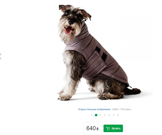 одежда кот собака