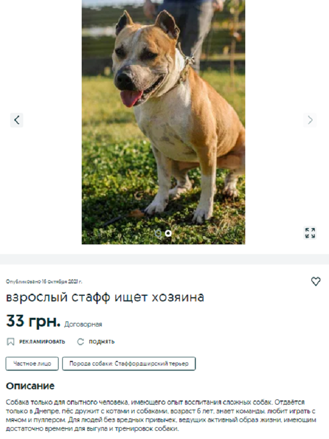 купить собаку Днепр