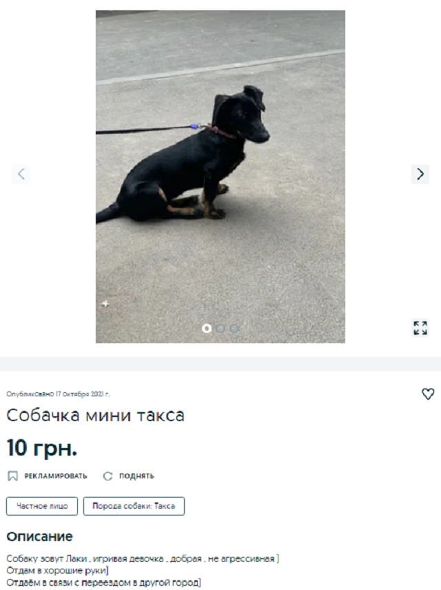купить собаку Днепр