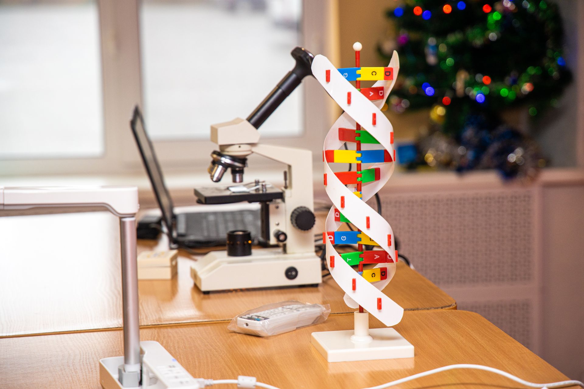 Сверхсовременный, мультимедийный, энергосберегающий: Томаковский лицей после реконструкции вдохновляет детей и учителей