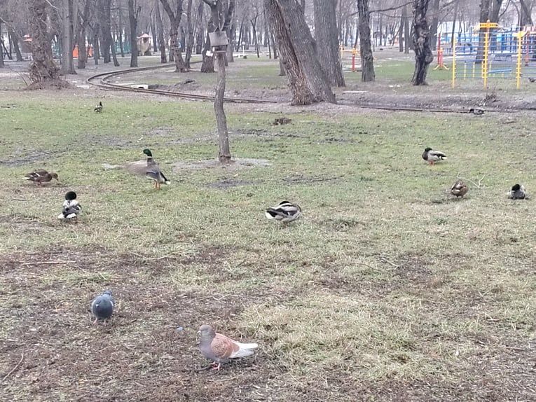 озеро Глобы