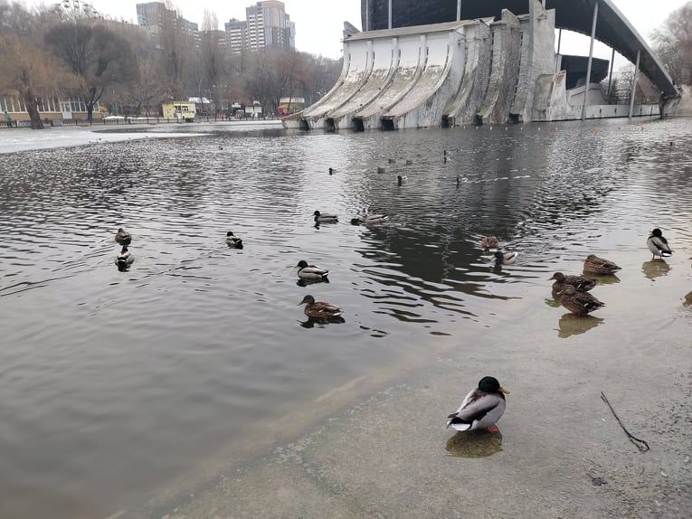 озеро Глобы