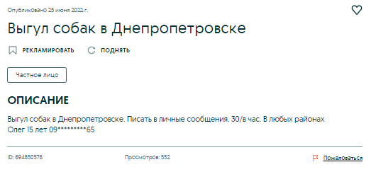 собаки