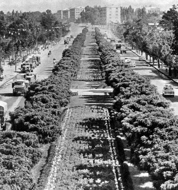 Слобожанский