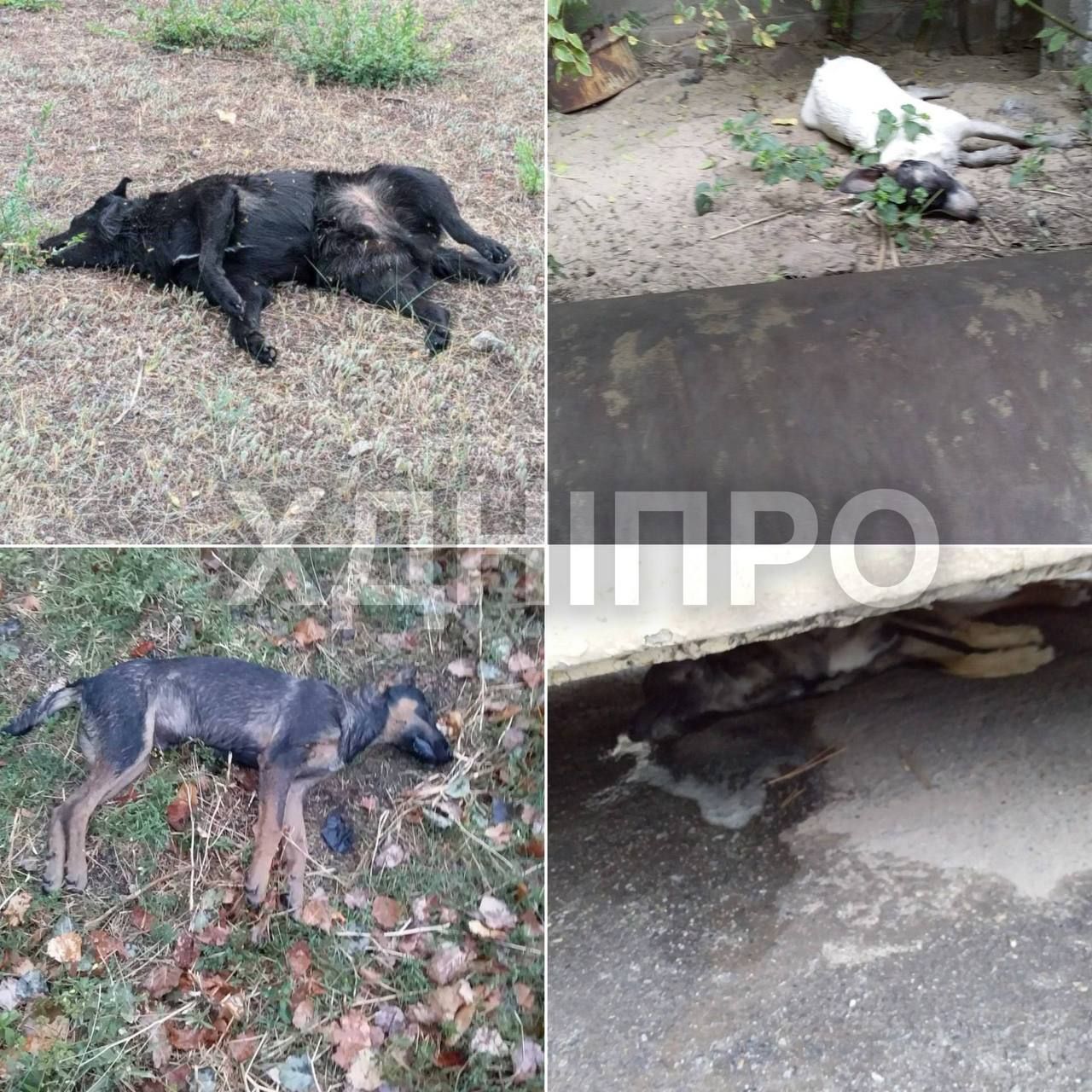 photo_2024-09-18_13-47-08 (2)