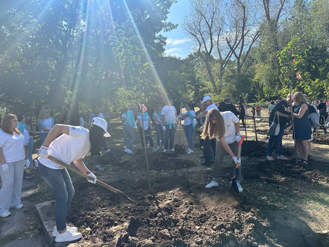 У Дніпрі з’явився новий сад сакур: де саме
