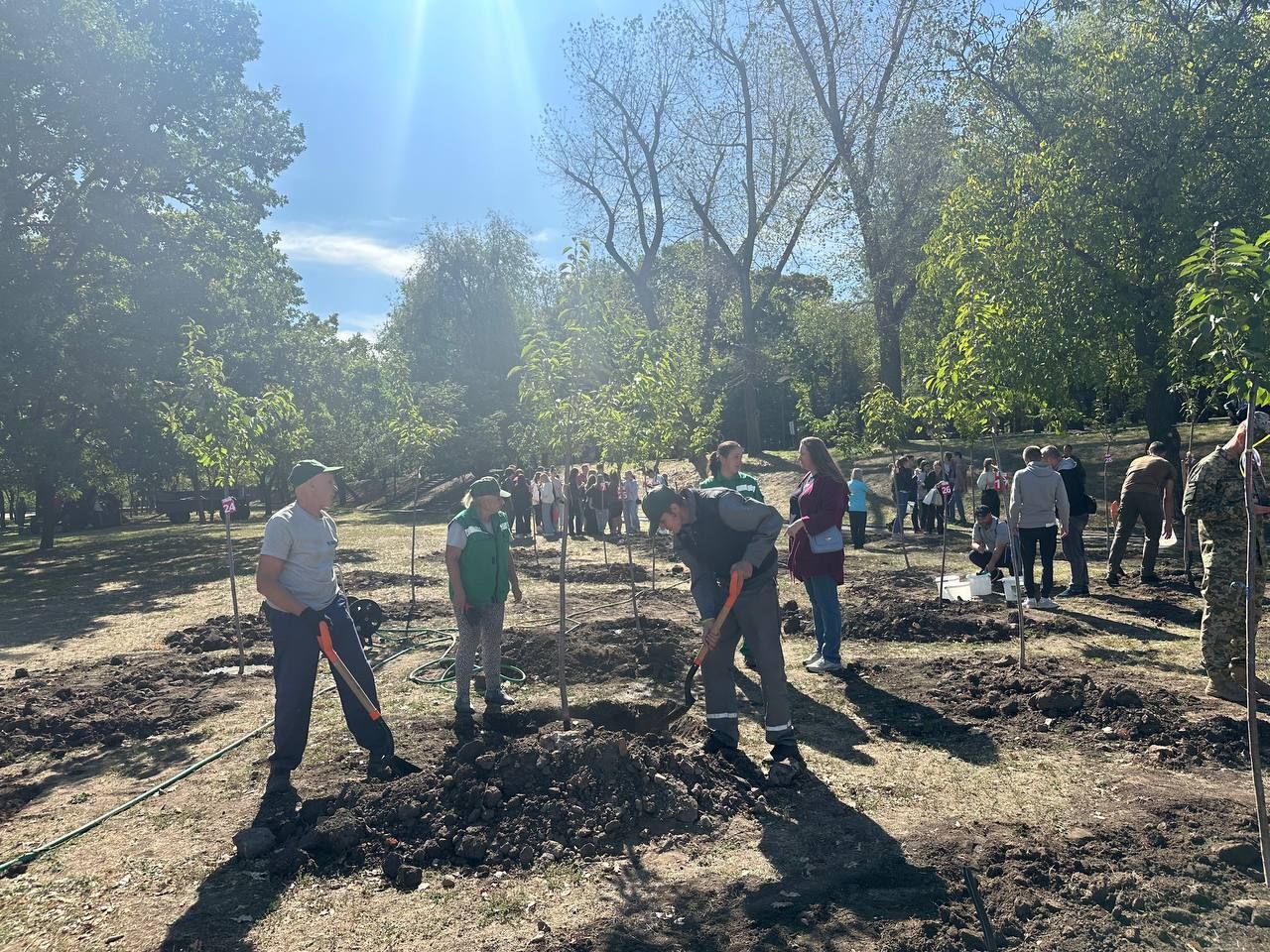 У Дніпрі з’явився новий сад сакур: де саме