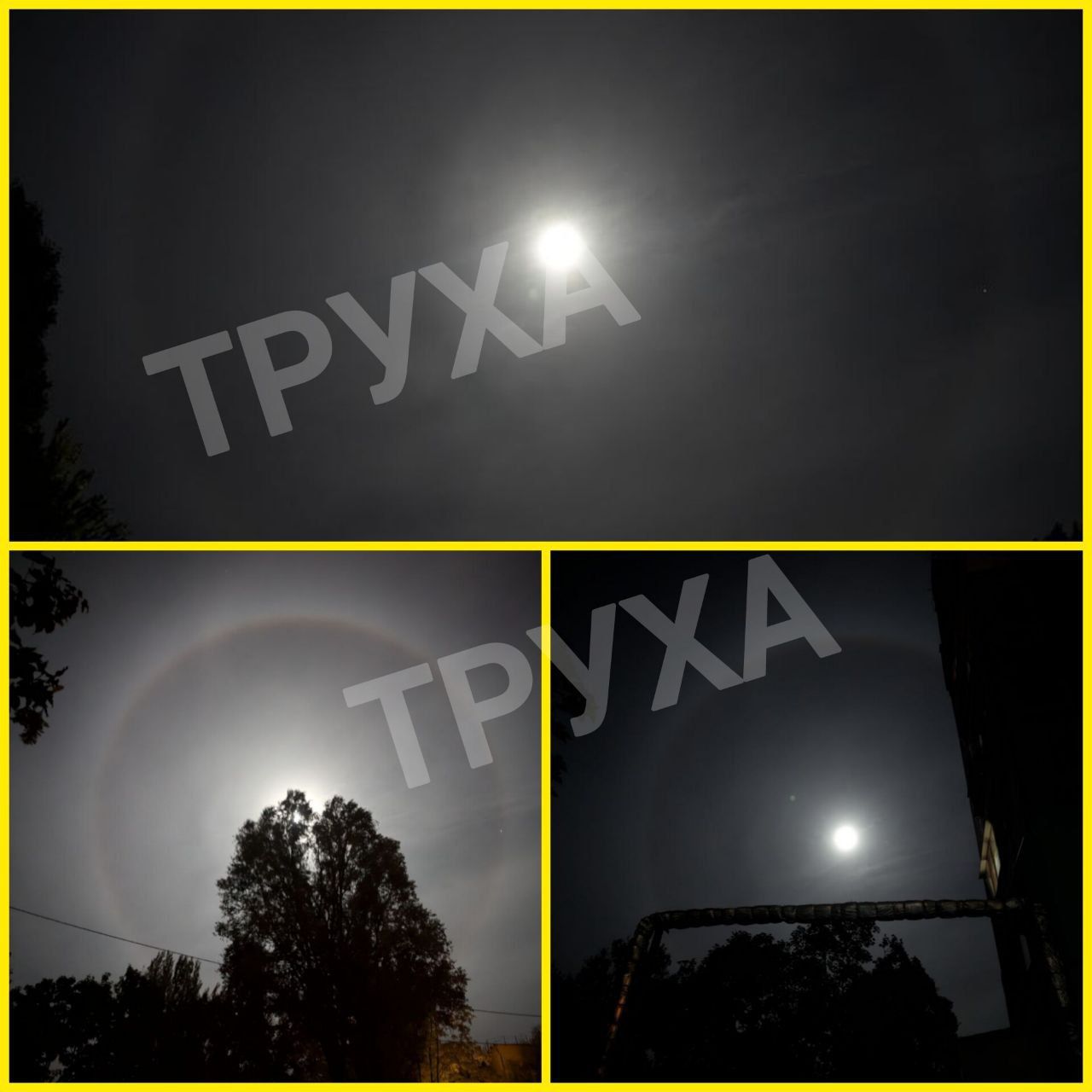 photo_2024-09-19_06-44-24