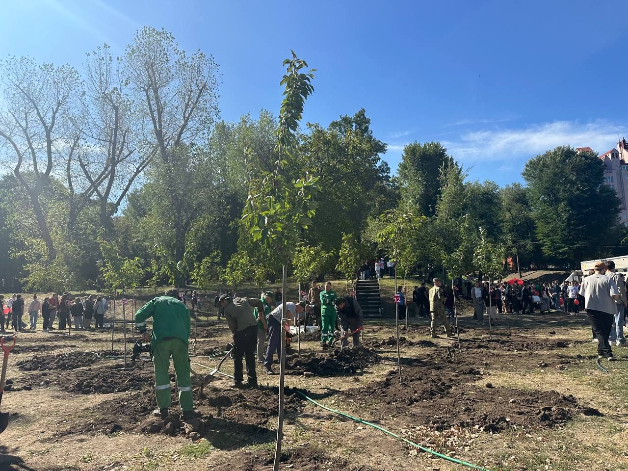 У Дніпрі з’явився новий сад сакур: де саме