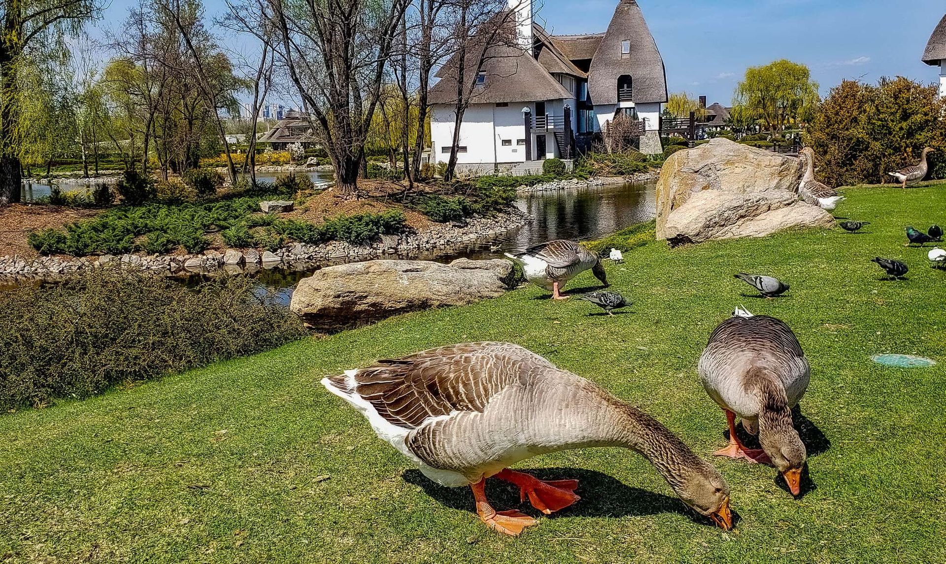 yaxt-klub1-optimized