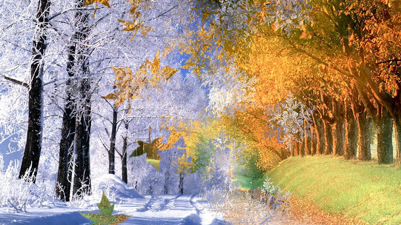 1657188767_osen-i-zima