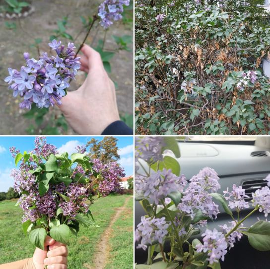 photo_2024-10-08_08-50-45