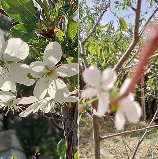 photo_2024-10-08_08-54-13