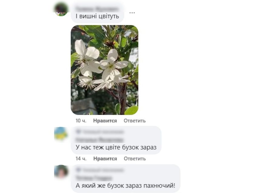 photo_2024-10-08_08-52-43