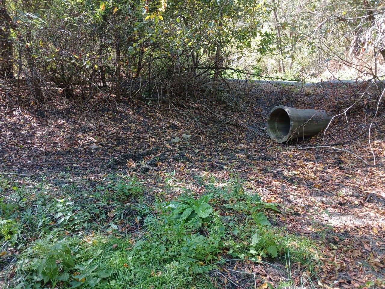 Территории заповедника вблизи Днепра превращаются в болото