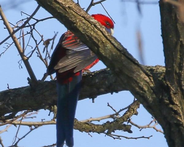 photo_2024-10-11_09-25-07