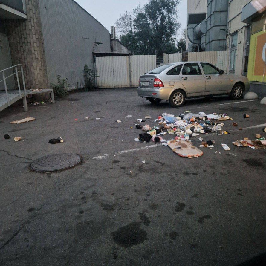 У Кам'янському невідома банда влаштувала сміттєвий дебош