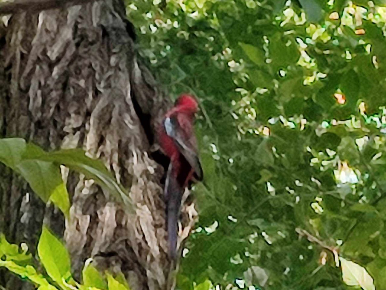 photo_2024-10-11_09-24-45 (2)