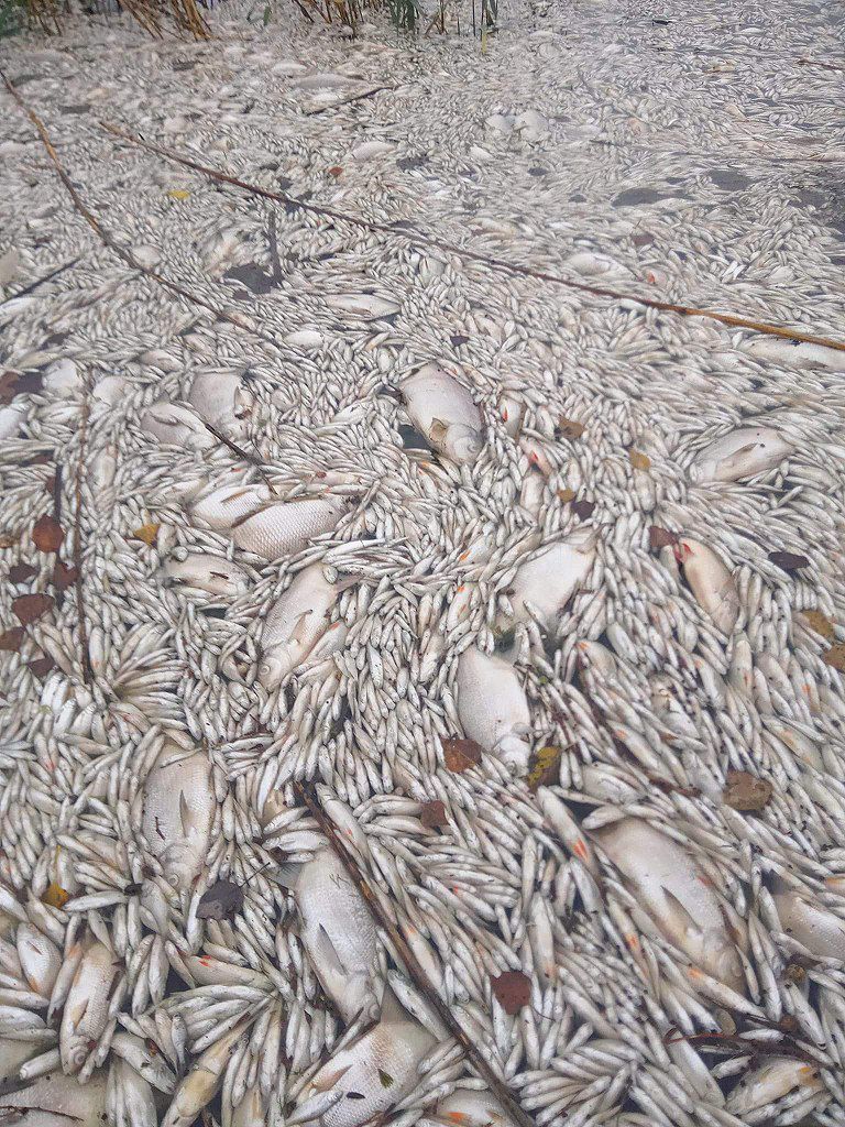 фото_2024-10-14_20-34-37 (4)